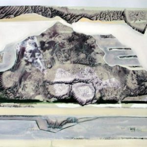 Transmission G9 (2013) - Oil, drawing on tracing paper - 50 x 70 cm