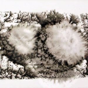 Transmission III (2013) - Oil, drawing on tracing paper - 21 x 29 cm